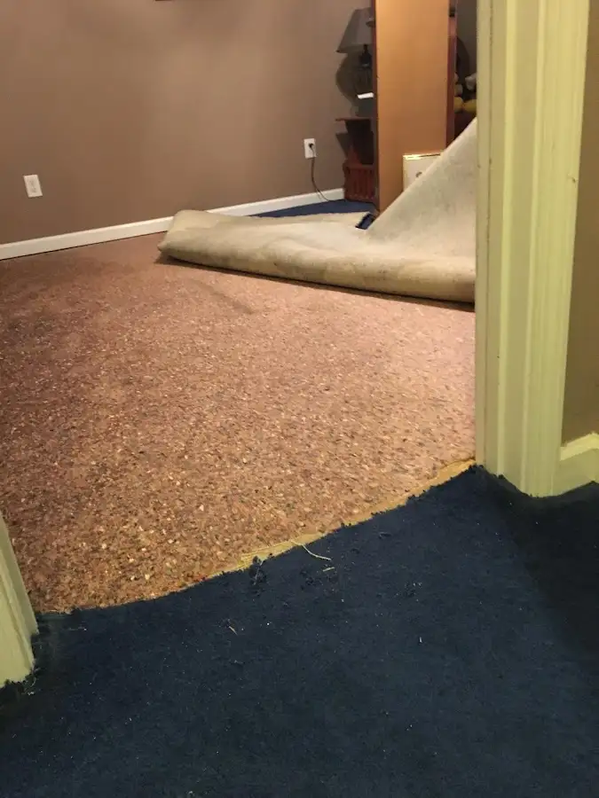 Carpet pad removal revealing water damage during Drying & Dehumidification in Dunwoody